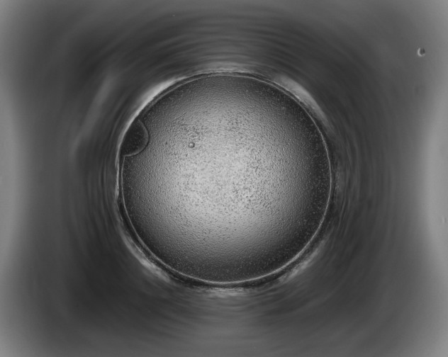 X0000086080844200703301127