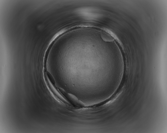 X0000086080845200703301127