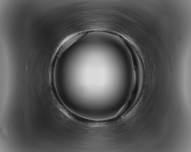 X0000086080846200703301127