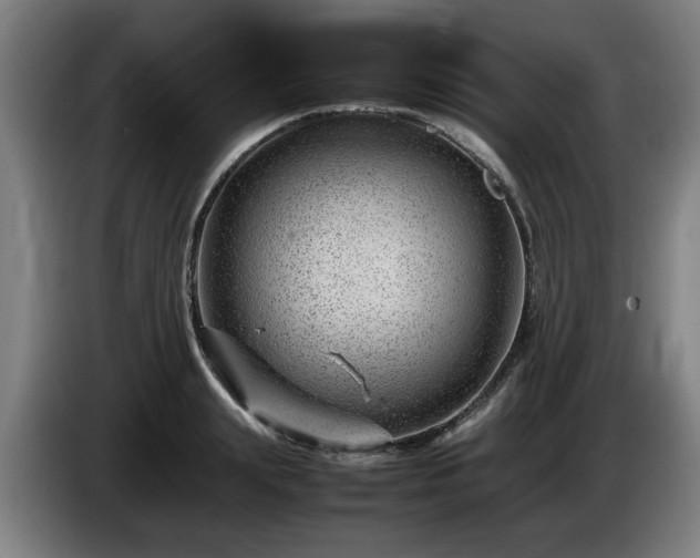 X0000086080847200703301127