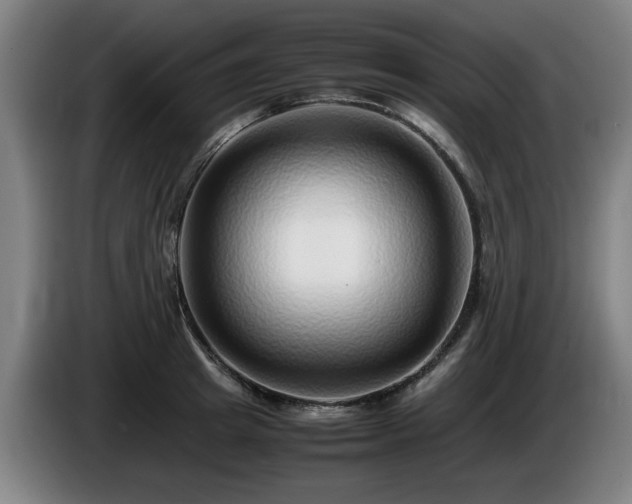 X0000086080849200703301127