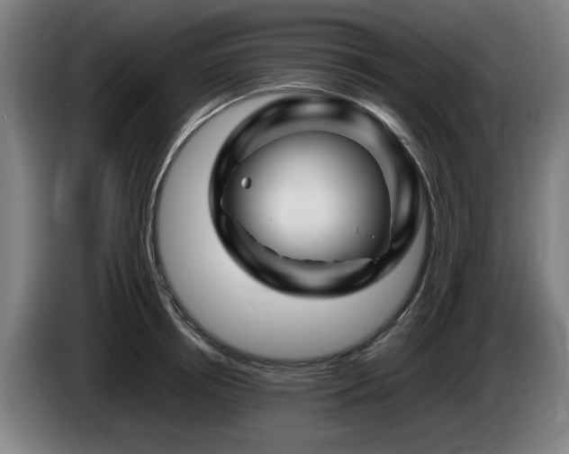 X0000086080850200703301127