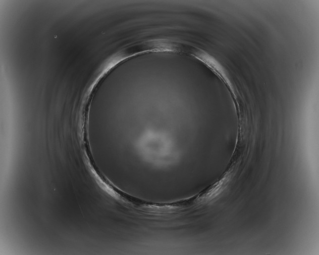 X0000086080851200703301127