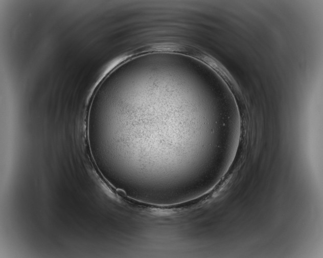 X0000086080852200703301127