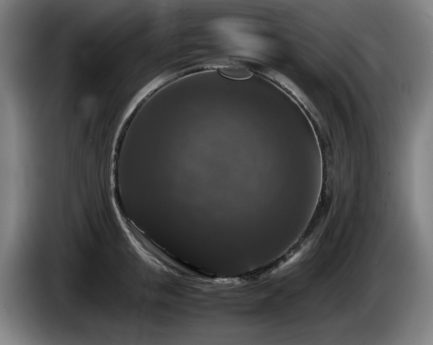 X0000086080853200703301127