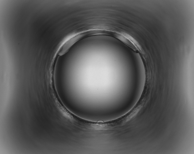 X0000086080854200703301127