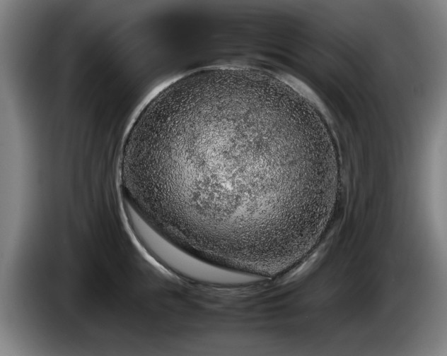 X0000086080855200703301127