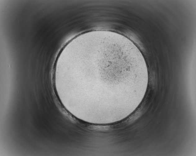 X0000086080856200703301127