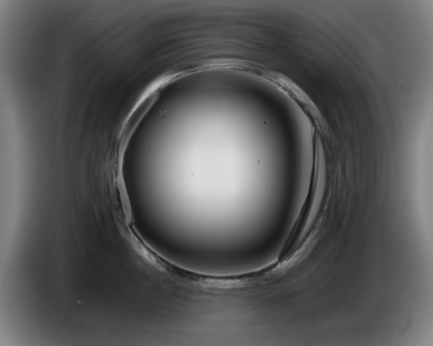 X0000086080860200703301127