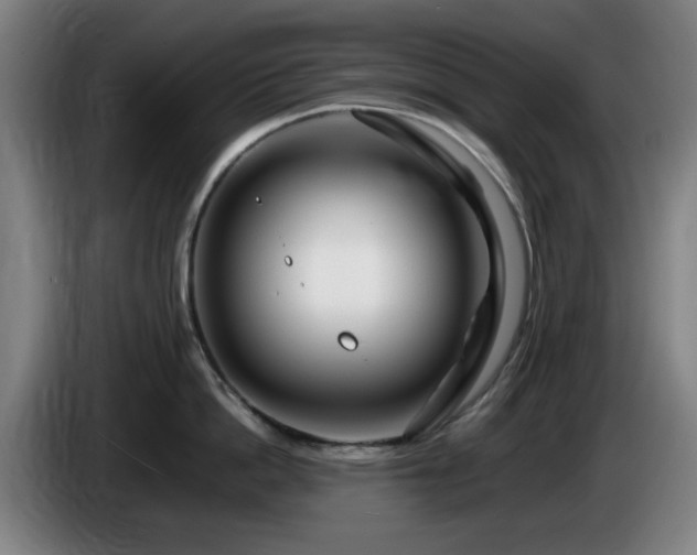 X0000086080862200703301127