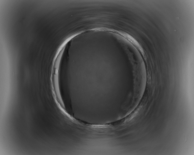 X0000086080863200703301127