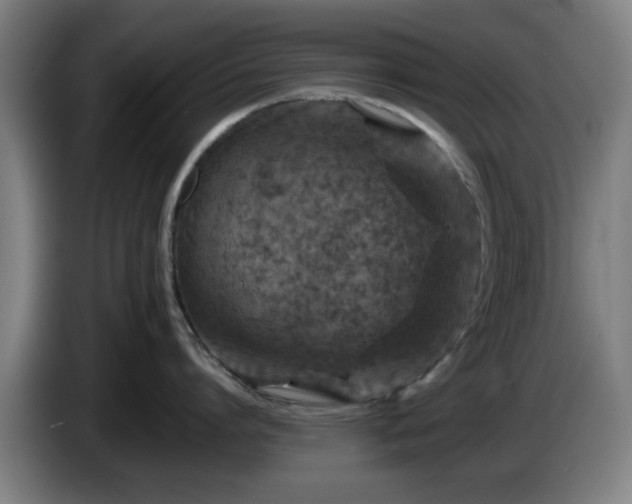 X0000086080864200703301127