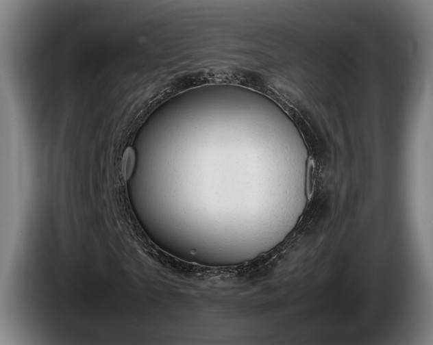 X0000086080865200703301126