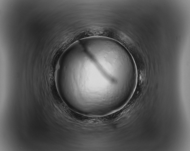 X0000086080867200703301126