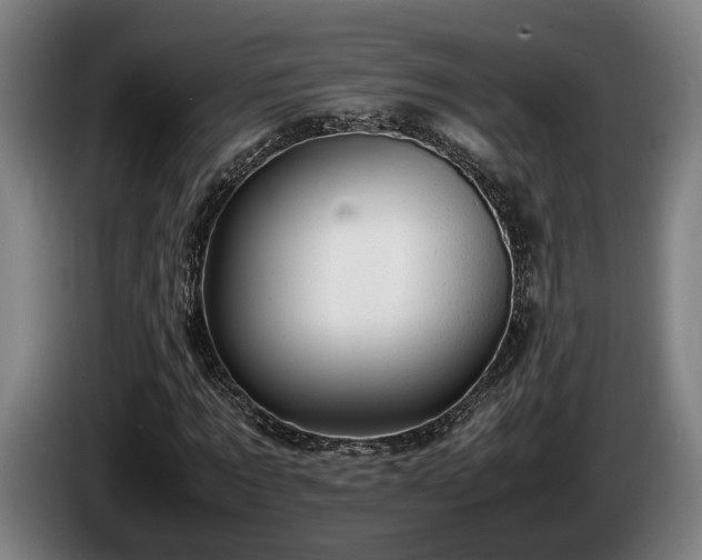 X0000086080869200703301126