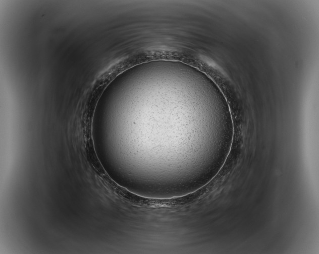 X0000086080870200703301126