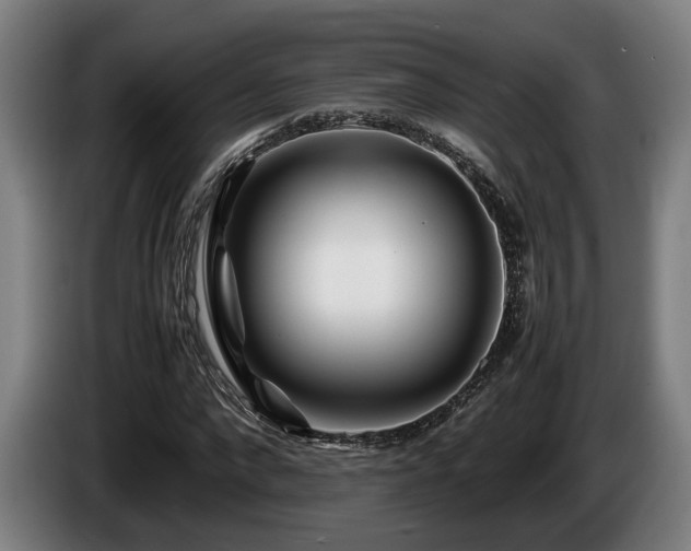 X0000086080872200703301126