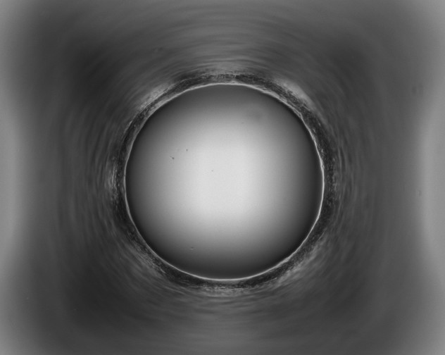 X0000086080873200703301126