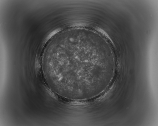 X0000086080874200703301126