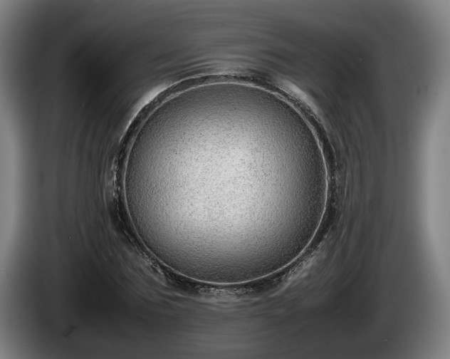 X0000086080875200703301126