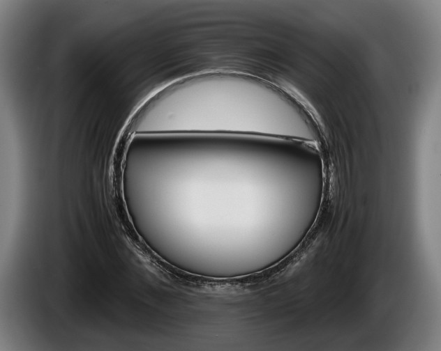 X0000086080876200703301126