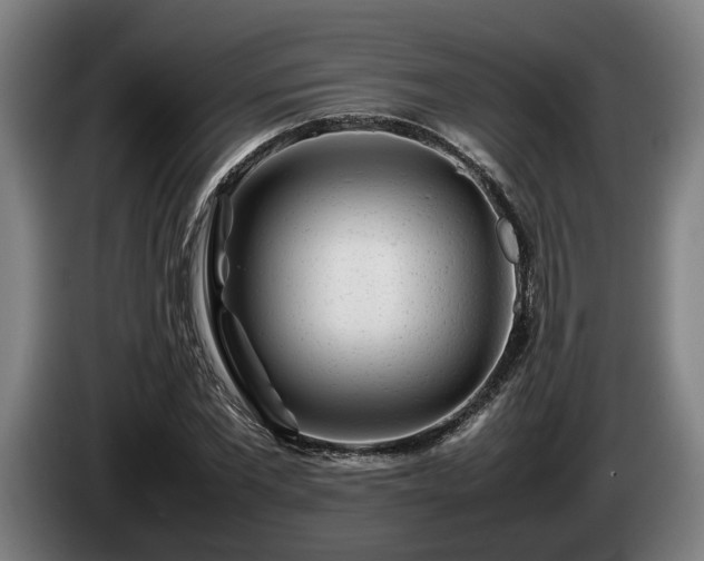 X0000086080877200703301126