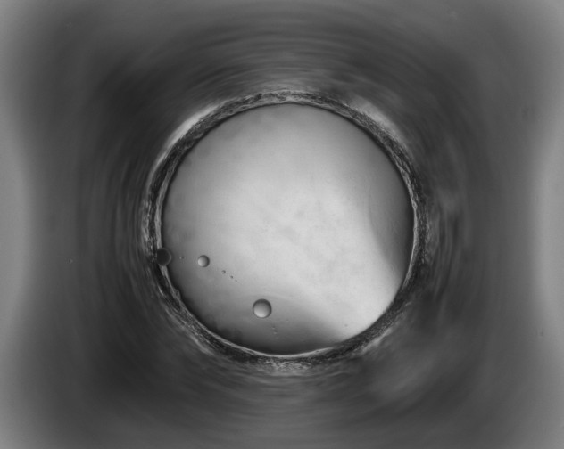 X0000086080878200703301126