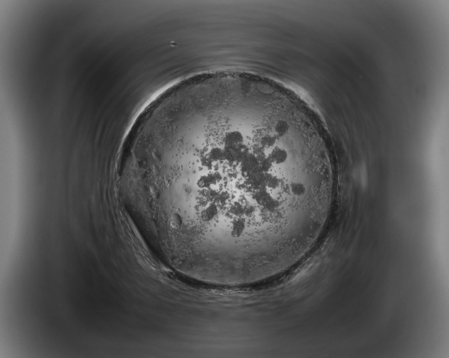 X0000086080879200703301126