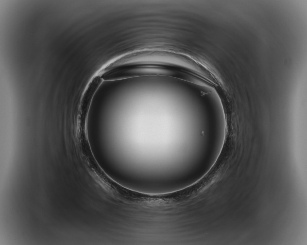 X0000086080880200703301126