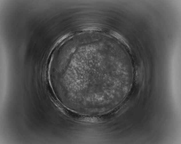 X0000086080882200703301126