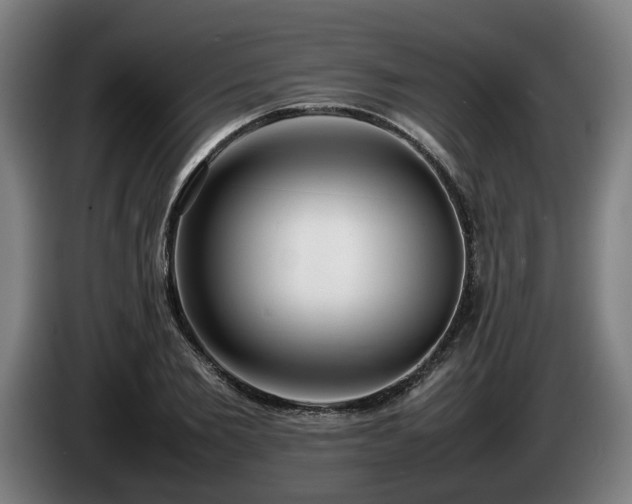 X0000086080885200703301126