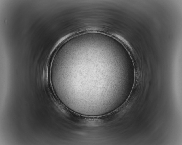 X0000086080886200703301126