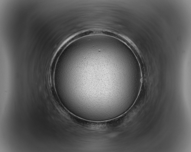 X0000086080887200703301126