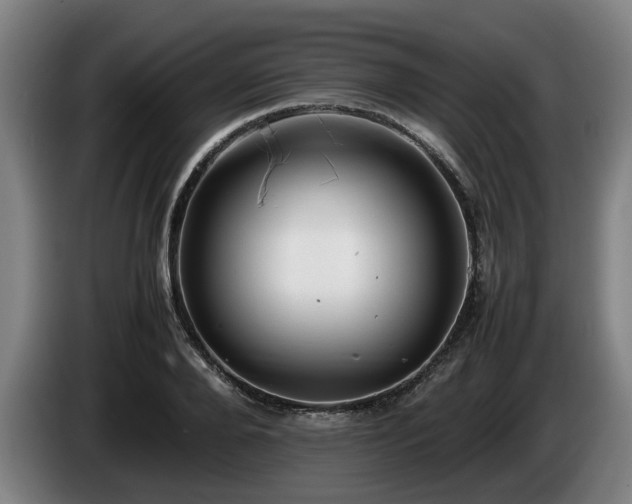 X0000086080888200703301126