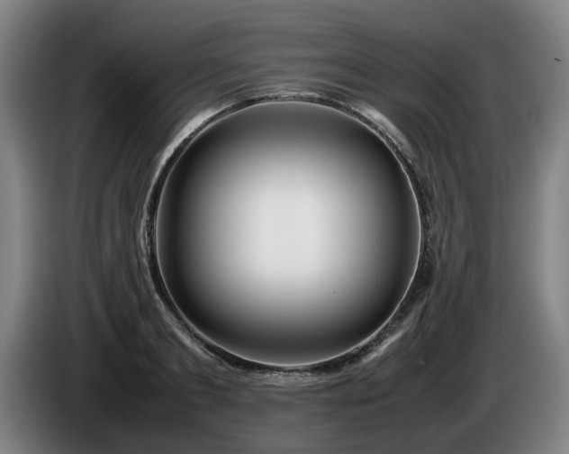 X0000086080893200703301126