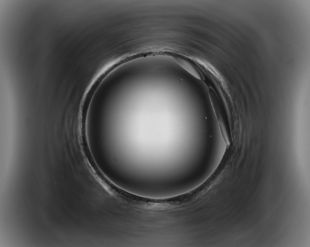 X0000086080894200703301126