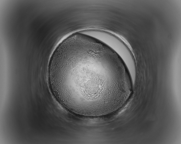 X0000086080895200703301126