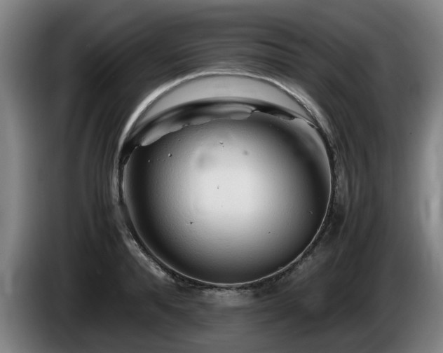 X0000086080896200703301126