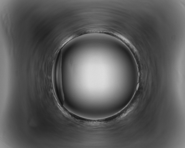 X0000086080897200703301126