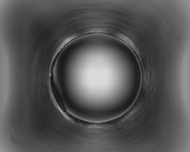 X0000086080898200703301126