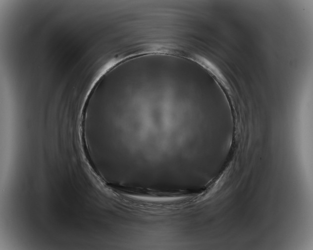 X0000086080899200703301126