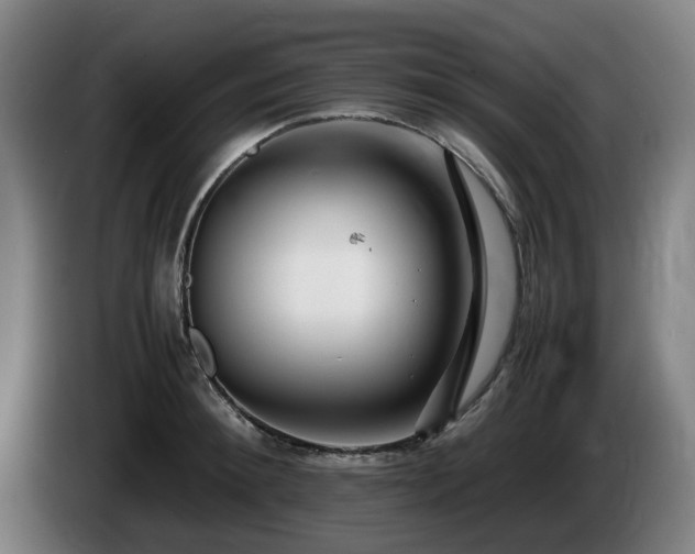 X0000086080900200703301126