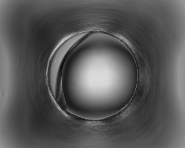 X0000086080902200703301126