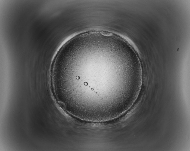 X0000086080903200703301126