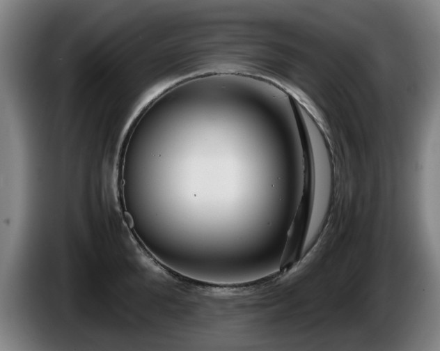 X0000086080904200703301126