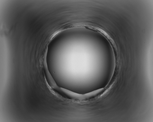 X0000086080905200703301126