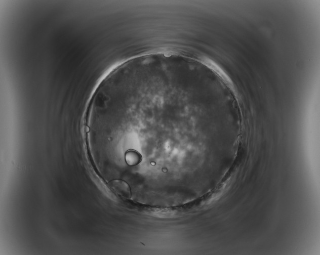 X0000086080907200703301126