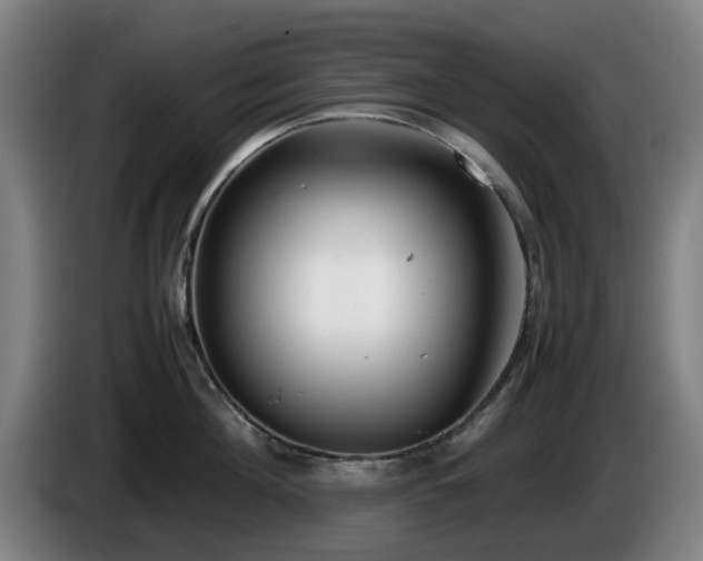 X0000086080908200703301126