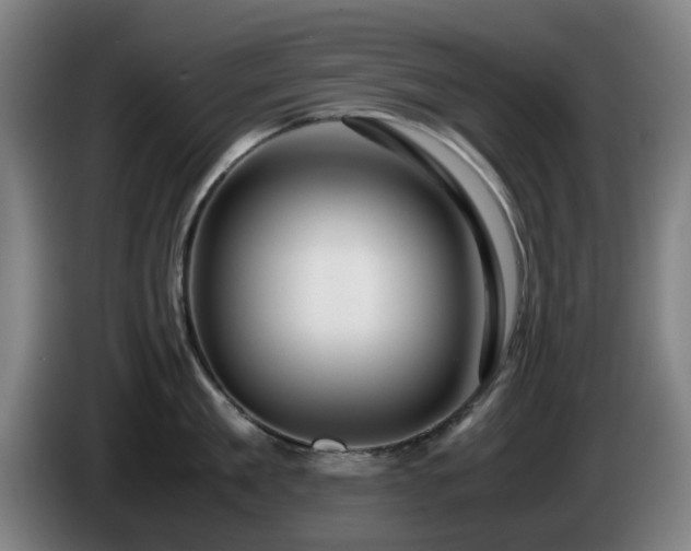 X0000086080909200703301126