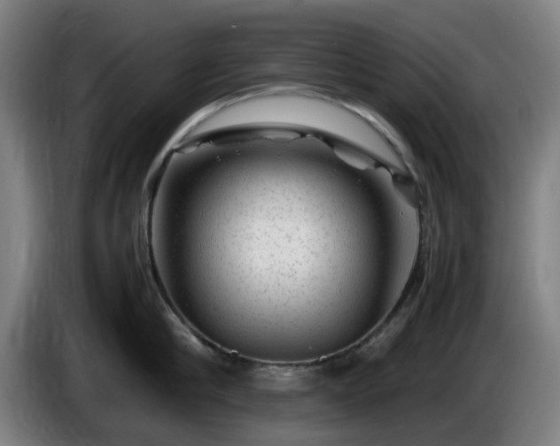 X0000086080910200703301126